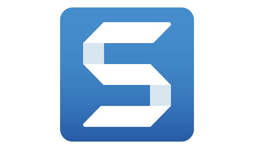 Snagit 2020 - license + 3 Years Maintenance - 1 user