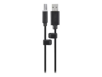 Belkin Common Access Card USB Cable - USB cable - USB to USB Type B - TAA C