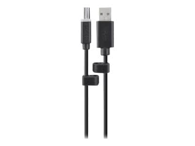 Belkin Common Access Card USB Cable - USB cable - USB to USB Type B - TAA Compliant - 6 ft