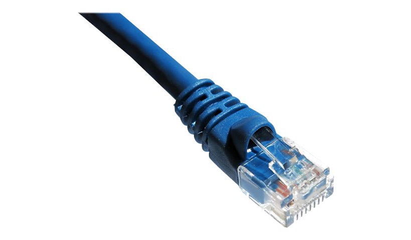 Axiom patch cable - 6 ft - blue