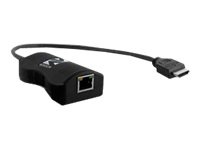 AdderLink DV100 Receiver - video/audio extender - HDMI