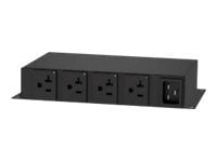 Raritan 1-Phase 120V 4 NEMA 5-20R Outlets Power Distribution Unit