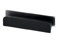 Panduit cable management trough - 2U - 19"