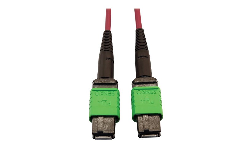 Tripp Lite 400G MTP/MPO Multimode OM4 Plenum-Rated Fiber Cable, MTP/MPO-APC to MTP/MPO-APC (F/F), Magenta, 1M - network