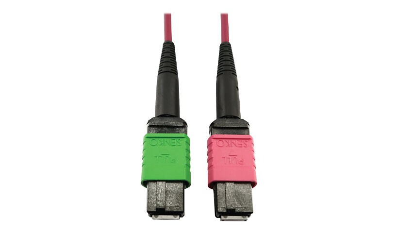 Tripp Lite 400G MTP/MPO Multimode OM4 Plenum-Rated Fiber Cable, MTP/MPO-APC to MTP/MPO-UPC (F/F), Magenta, 1M - network