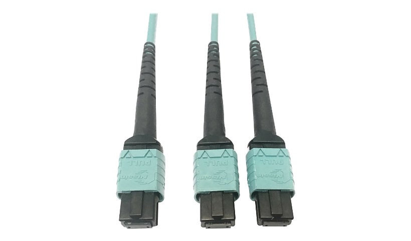 Tripp Lite 400G MTP/MPO Multimode OM4 Plenum-Rated Fiber Cable, 24F MTP/MPO-PC to (x2) 12F MTP/MPO-PC, Aqua, 1M -
