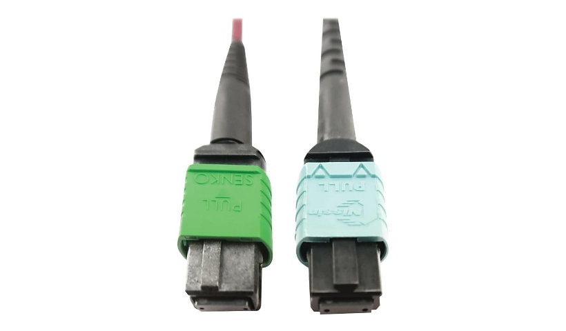 Tripp Lite 400G MTP/MPO Multimode OM4 Plenum-Rated Fiber Cable, 16F MTP/MPO-APC to 24F MTP/MPO-UPC, Magenta, 3M -