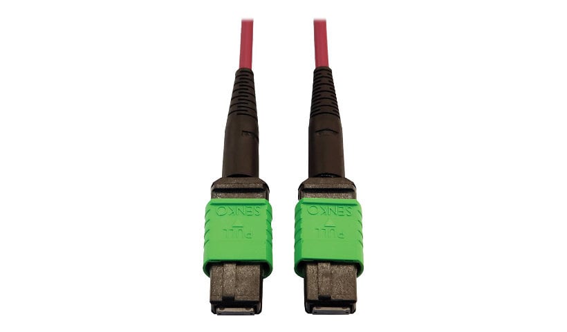 Tripp Lite 400G MTP/MPO Multimode OM4 Plenum-Rated Fiber Cable, MTP/MPO-APC to MTP/MPO-APC (F/F), Magenta, 5M - network
