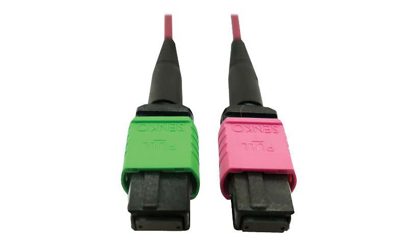 Tripp Lite 400G MTP/MPO Multimode OM4 Plenum-Rated Fiber Cable, MTP/MPO-APC to MTP/MPO-UPC (F/F), Magenta, 5M - network