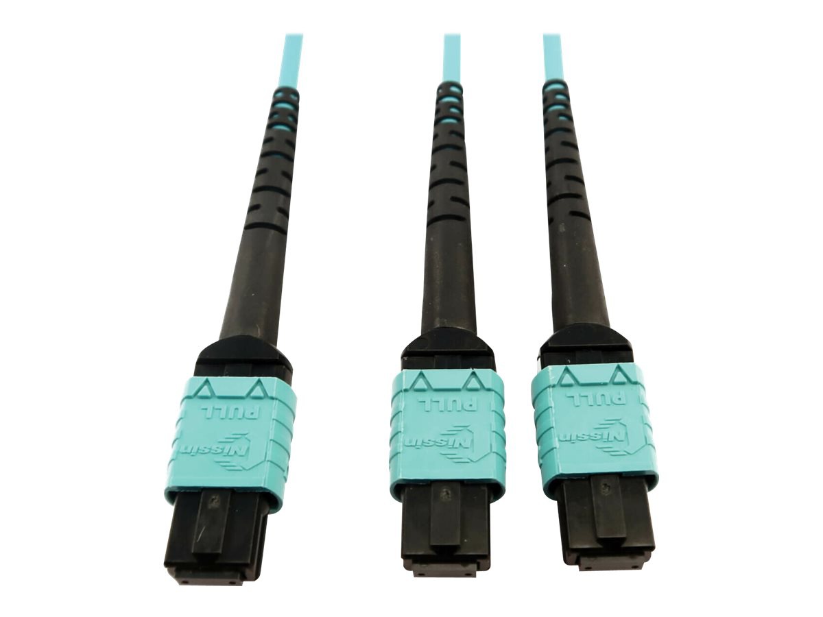 Tripp Lite 400G MTP/MPO Multimode OM4 Plenum-Rated Fiber Cable, 24F MTP/MPO-PC to (x2) 12F MTP/MPO-PC, Aqua, 5M -