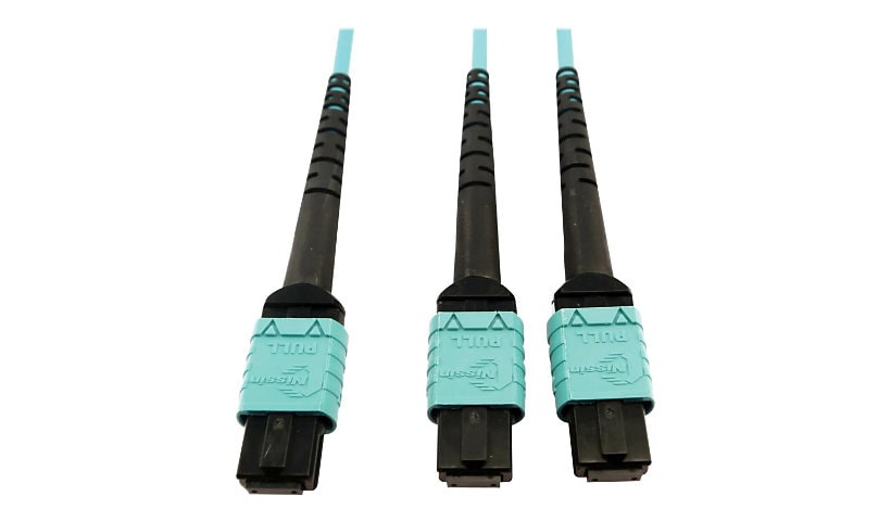 Tripp Lite 400G MTP/MPO Multimode OM4 Plenum-Rated Fiber Cable, 24F MTP/MPO-PC to (x2) 12F MTP/MPO-PC, Aqua, 5M -