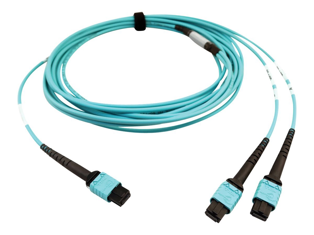 Thumbnail 2 of 5 for Tripp Lite 400G MTP/MPO Multimode OM4 Plenum-Rated Fiber Cable, 24F MTP/MPO-PC to (x2) 12F MTP/MPO-PC, Aqua, 5M -