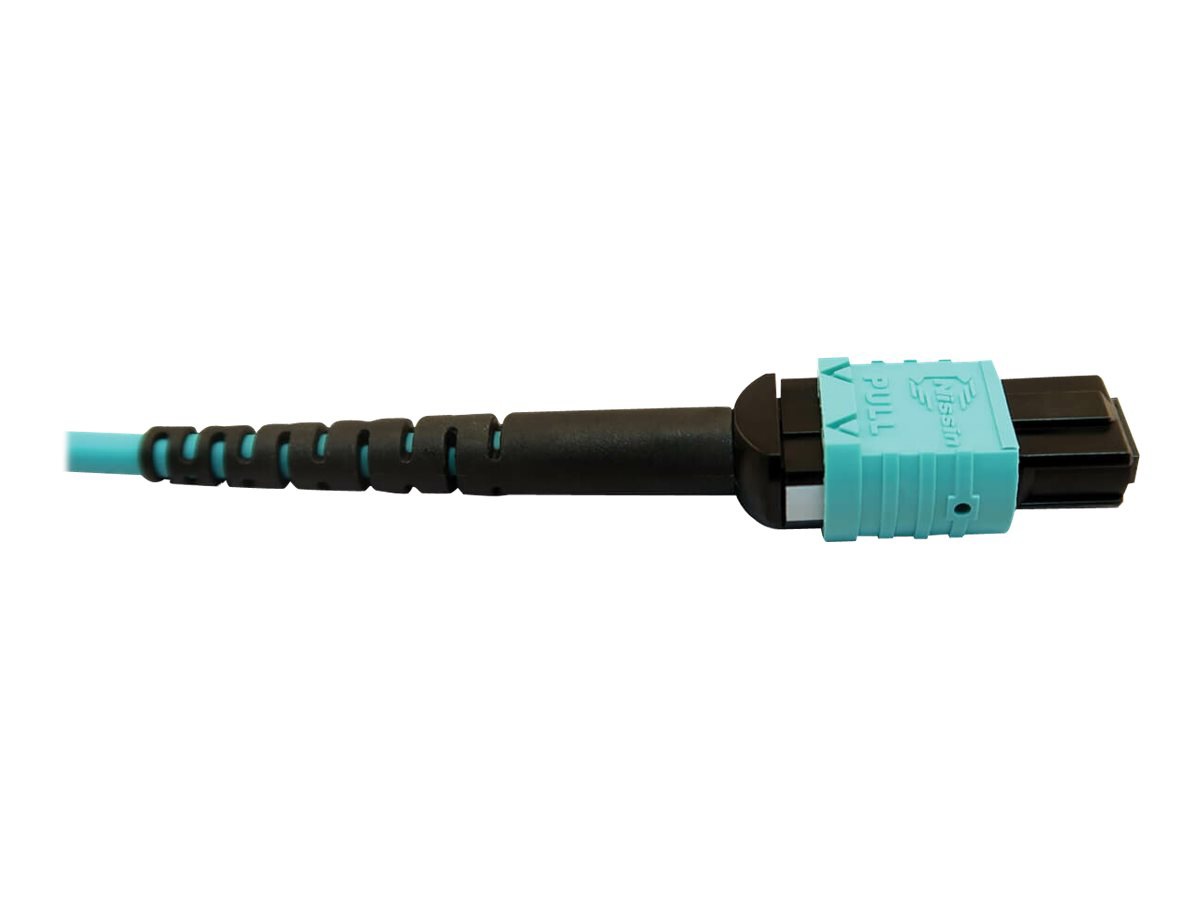 Thumbnail 5 of 5 for Tripp Lite 400G MTP/MPO Multimode OM4 Plenum-Rated Fiber Cable, 24F MTP/MPO-PC to (x2) 12F MTP/MPO-PC, Aqua, 5M -