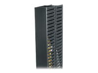 Middle Atlantic PCD Series 38RU Dual Cable Duct - Cable Management Cable Duct - rack cable management duct - 38U