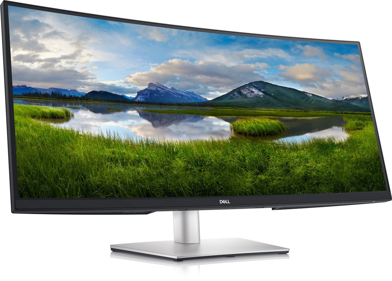 DELL MONITOR P3421W