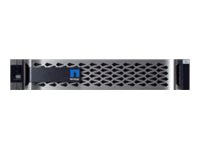 NetApp All Flash FAS AFF A250 HA - NAS server