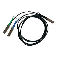 Mellanox LinkX 200GBase direct attach cable - 2 m