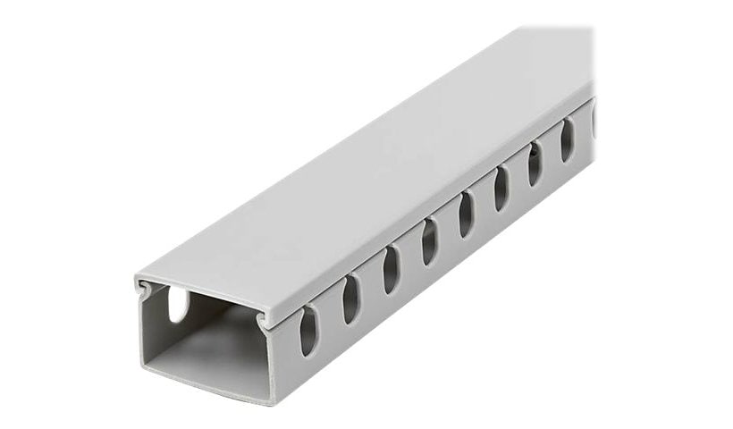 StarTech.com Cable Management Raceway with Cover 1-1/2"(38mm)W x 1"(25mm)H, 6.5ft(2m) length, 3/8"(8mm) Slots, Wall Wire