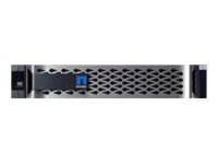 NetApp All Flash FAS AFF A250 - NAS server - 122.4 TB