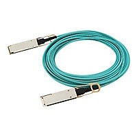 HPE Aruba 100GBase-AOC direct attach cable - 7 m