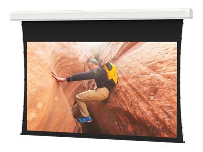 Da-Lite Tensioned Advantage Electrol HDTV Format - projection screen - 247" (246.8 in)
