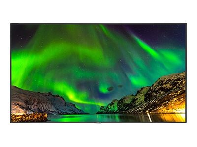 NEC C651Q-MPi 65" LCD flat panel display - 4K