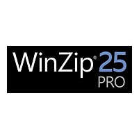 WinZip Pro (v. 25) - license - 1 user