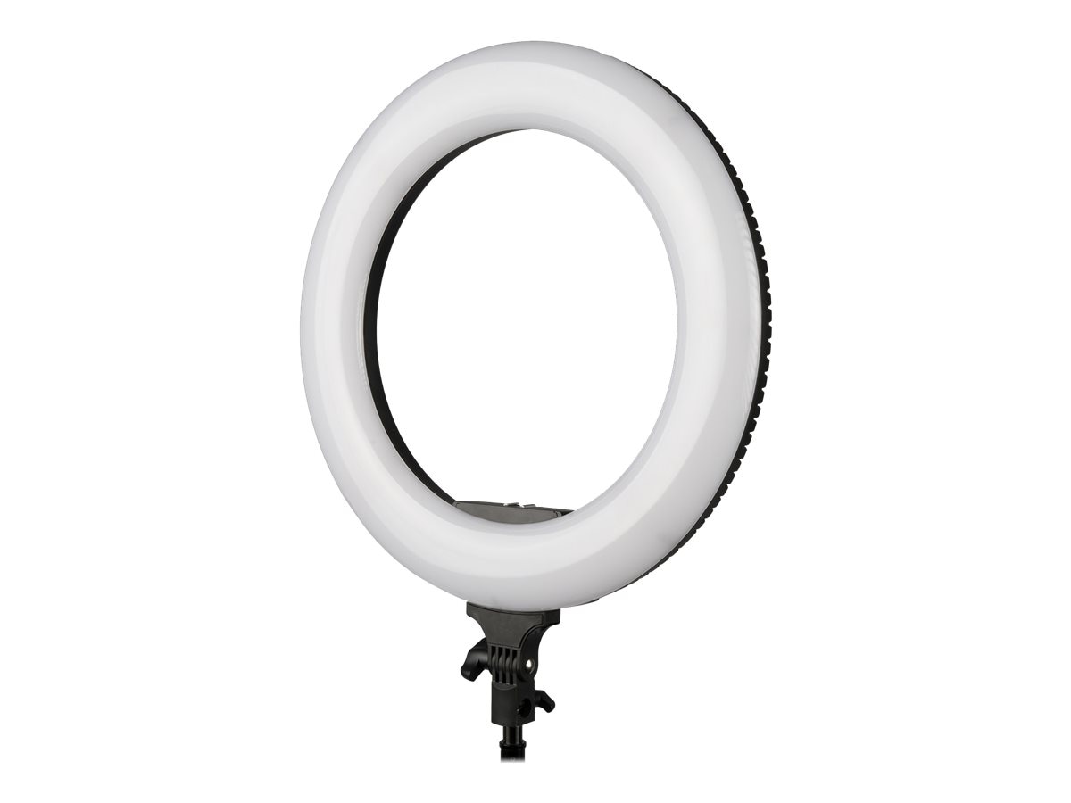 Ikan ORYON RLB40-M lamp head