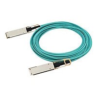 HPE Aruba 100GBase-AOC direct attach cable - 30 m