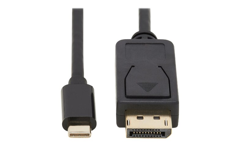Tripp Lite USB C to DisplayPort Cable Bi-Directional 4K M/M 10ft - DisplayPort cable - 24 pin USB-C to - U444-010-DP-BD - USB Adapters - CDW.com