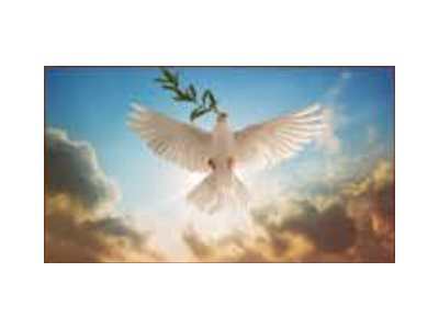 LG LSCB-F163C Ultimate Business Display LSCB Series LED video wall - Direct View LED - for digital signage