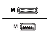 Huddly - USB cable - USB Type A to 24 pin USB-C - 3.8 ft