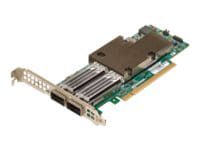 Broadcom NetXtreme E-Series P2100G - network adapter - PCIe 4.0 x16 - 100 G