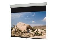 Draper Luma 123" Manual Projection Screen