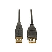 Tripp Lite 10ft USB 2.0 Hi-Speed Extension Cable Shielded A Male / Female 10' - USB cable - USB to USB - 3 m