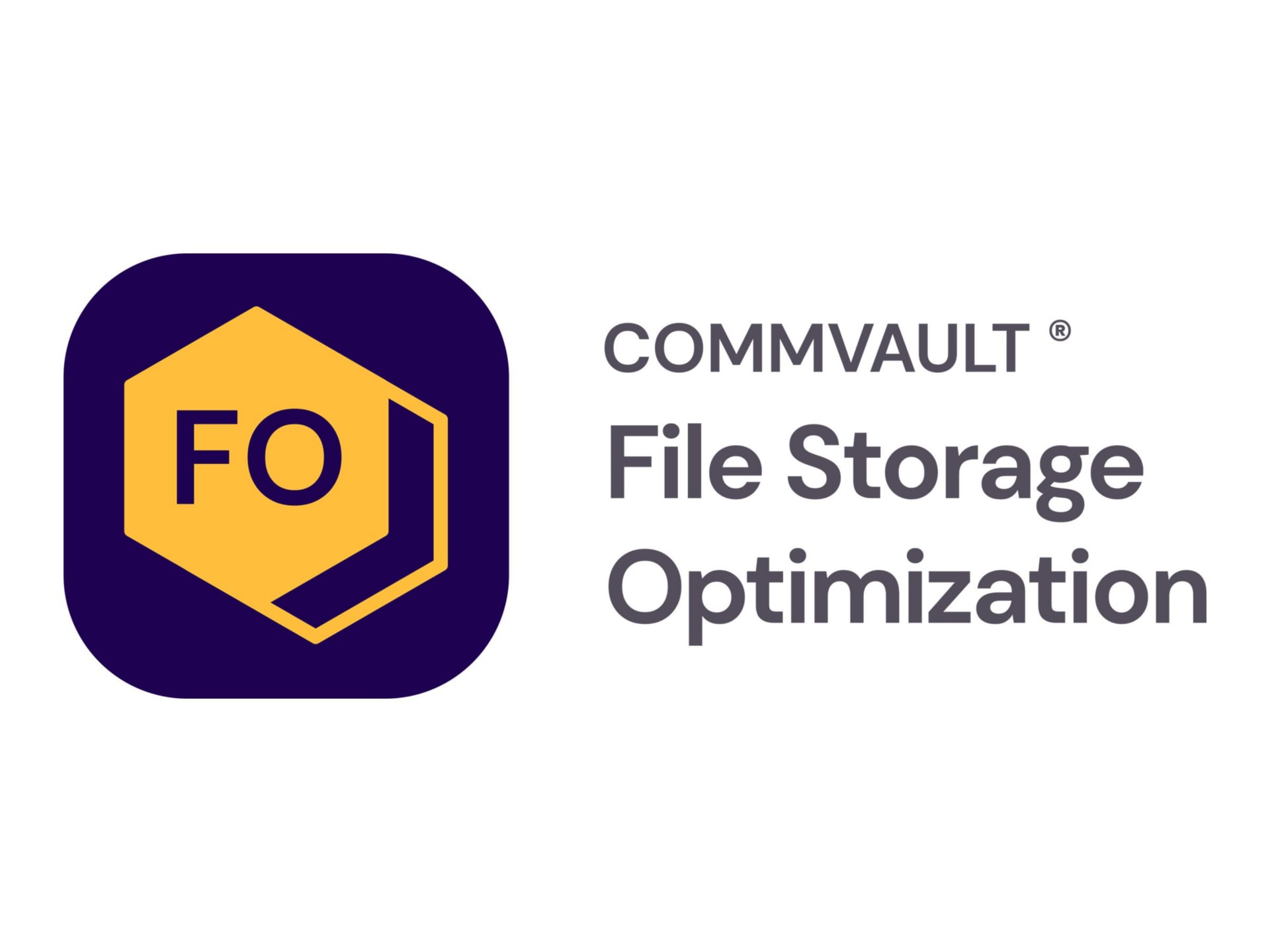 Commvault File Optimization for Non-Virtual and File - subscription license (3 years) - 1 front end TB