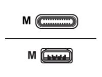 Huddly - USB cable - USB Type A to 24 pin USB-C - 1.15 m