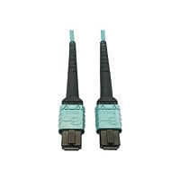 Tripp Lite MMF Fiber Optic Cable OM4 Plenum 400G 50 24F MTP/MPO-PC F/F 1M