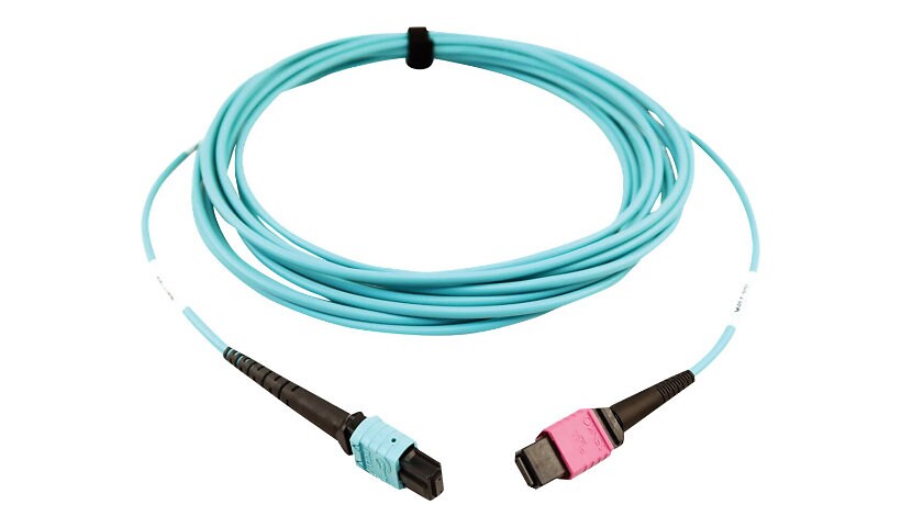 Tripp Lite MMF Fiber Optic Cable 24F MTP/MPO-UPC to 16F MTP/MPO-UPC F/F 5M