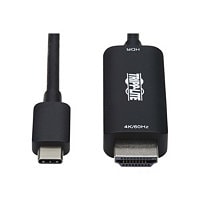 Tripp Lite USB C to HDMI Adapter Cable, 4K 60Hz, HDR, HDCP 2.2, DP 1.2 Alt