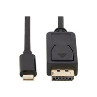 Tripp Lite USB C to DisplayPort Adapter Cable Bi-Directional 4K M/M 10ft