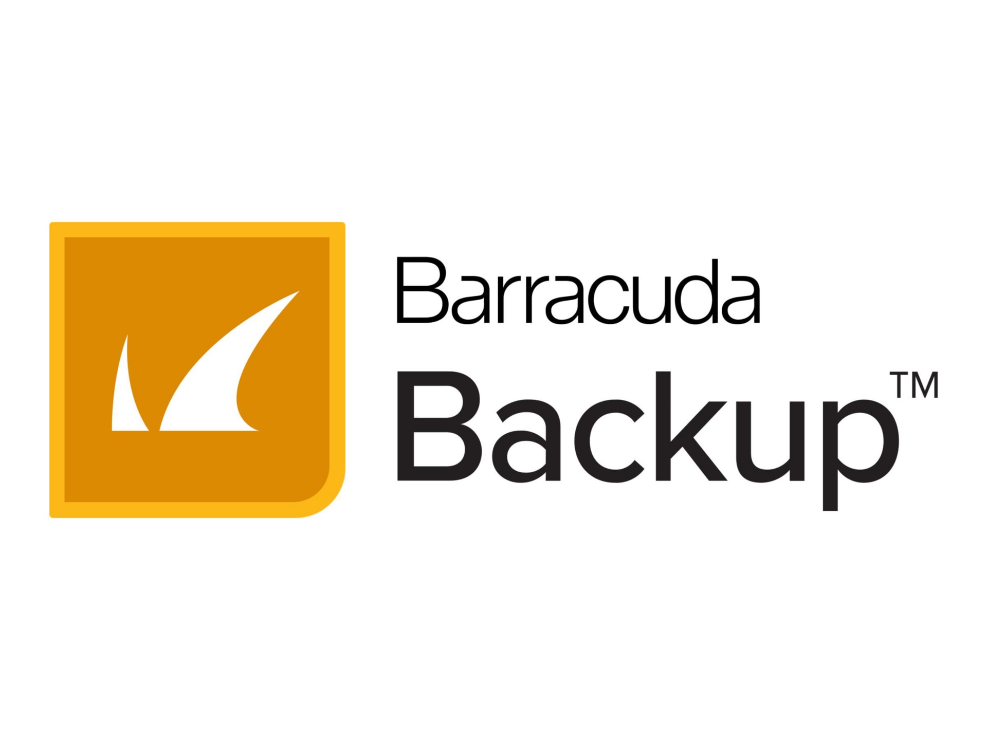Barracuda Backup Vx - subscription license (1 month) - 1 TB cloud storage space