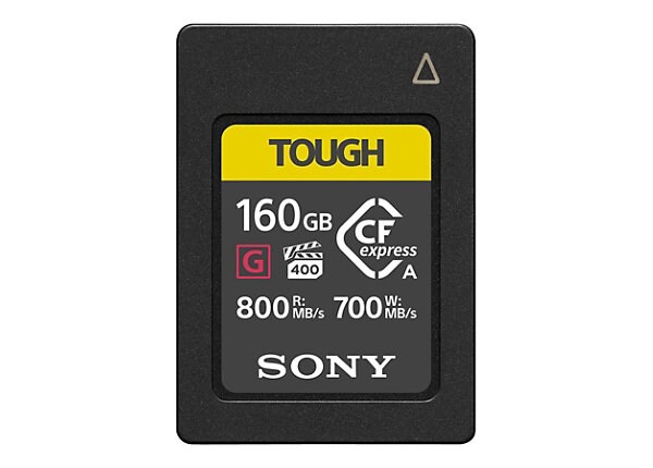 Sony CEA-G Series CEA-G160T - flash memory card - 160 GB