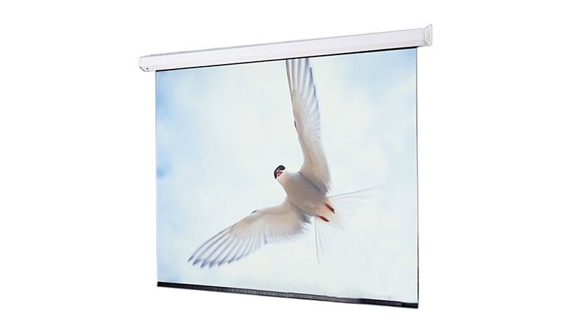 Draper Targa NTSC Video Format - projection screen - 200" (200 in)