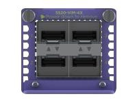 Extreme Networks Versatile Interface Module - expansion module - 10 Gigabit
