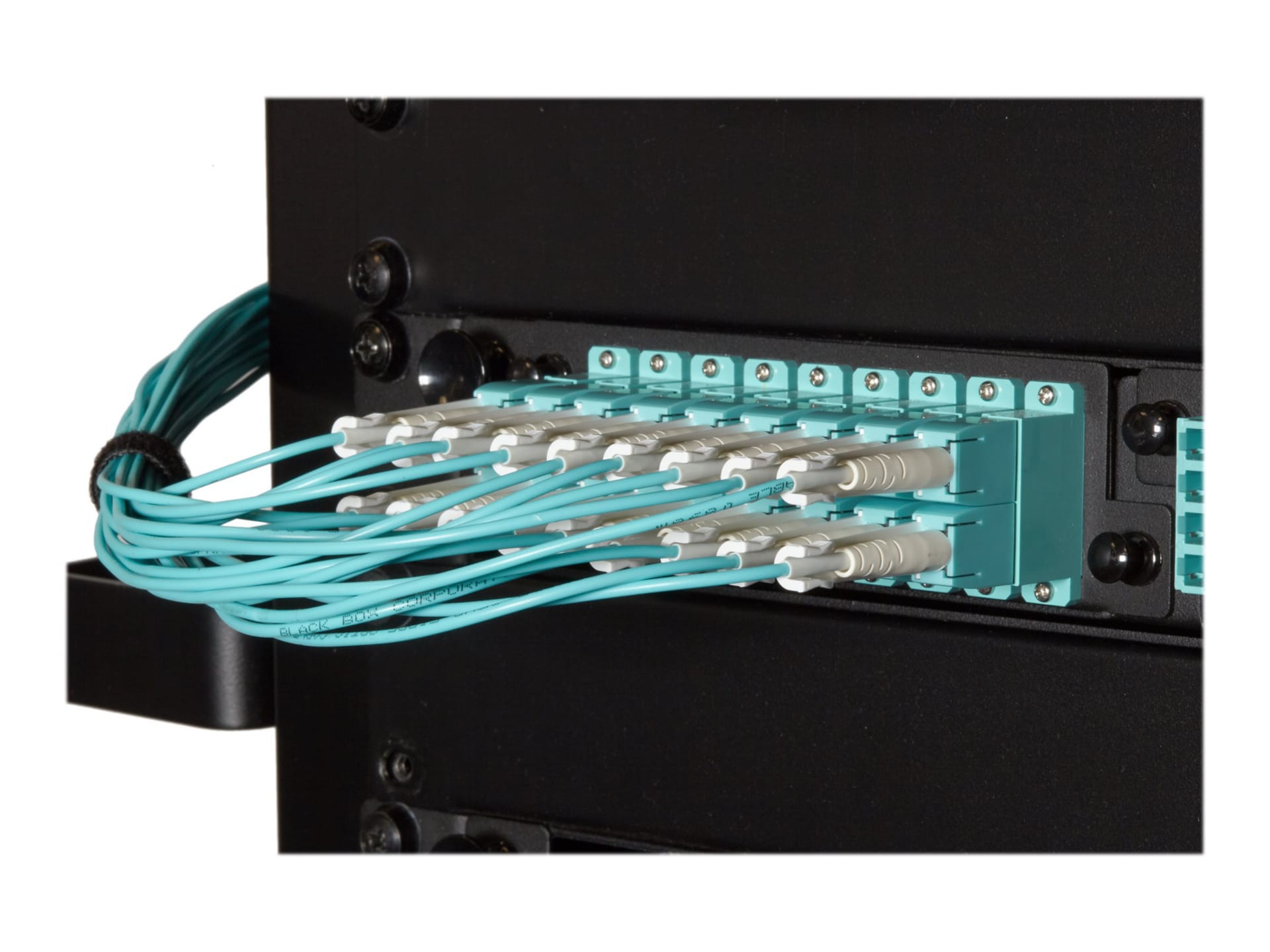 Black Box OM4 50/125 Fiber Patch Cable, Push-Pull Tabs, PVC, LC-LC, Aqua,1M