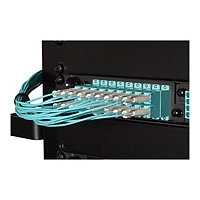 Black Box Premium patch cable - 1 m - aqua