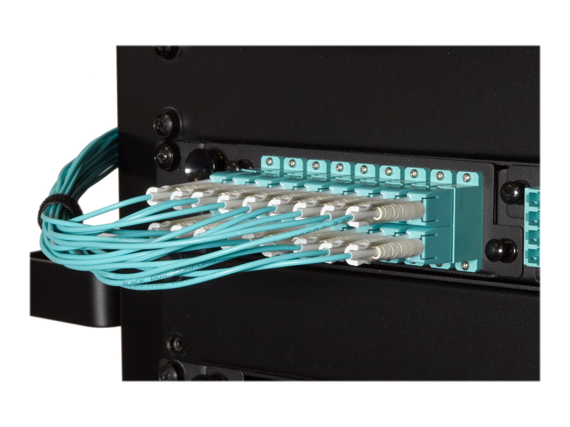 Black Box OM4 50/125 Fiber Patch Cable, Push-Pull Tabs, PVC, LC-LC, Aqua,2M