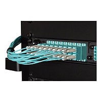 Black Box OM4 50/125 Fiber Patch Cable, Push-Pull Tabs, PVC, LC-LC, Aqua,2M