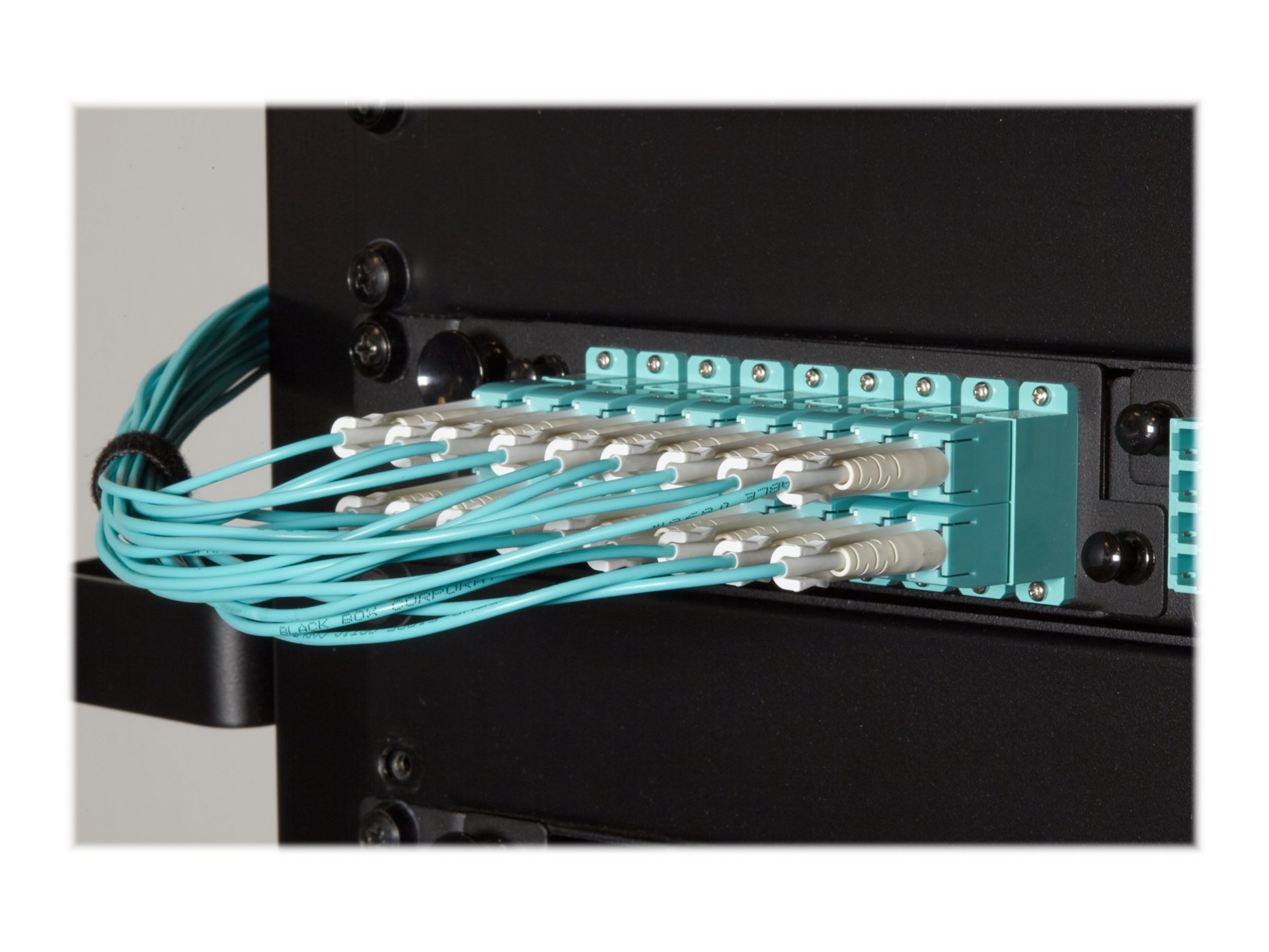 Black Box Premium patch cable - 3 m - aqua
